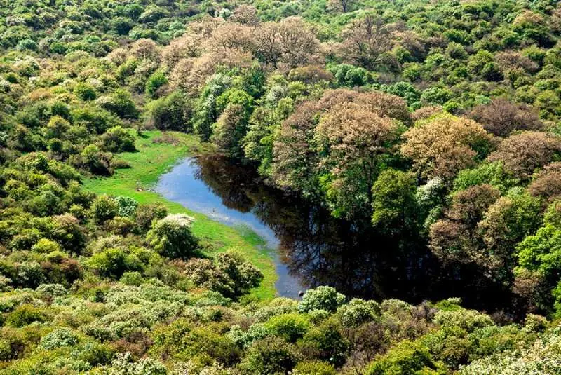 بهترین جاهای دیدنی گلستان برای طبیعت‌گردی؛ راهنمای کامل و کاربردی