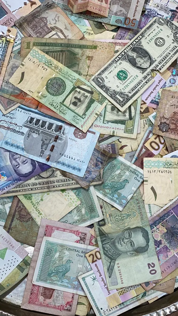 یوان خانگی را سرگرم کنیم؛ مراحل مهم و بررسی کامل و ساده