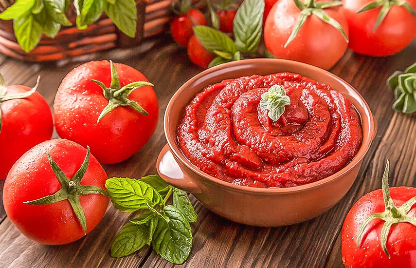 خط تولید رب گوجه‌فرنگی چگونه کار می‌کند؛ قبل از اقدام این موارد را بدانید