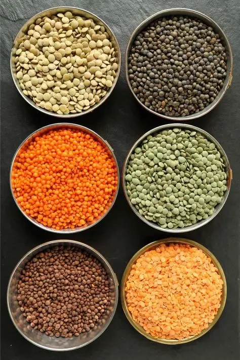 عدس چگونه کاشته می‌شود؛ راهنمای کامل و کاربردی