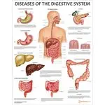 یک فرد در حال انجام تمرینات تنفسی و مدیتیشن برای کاهش استرس
