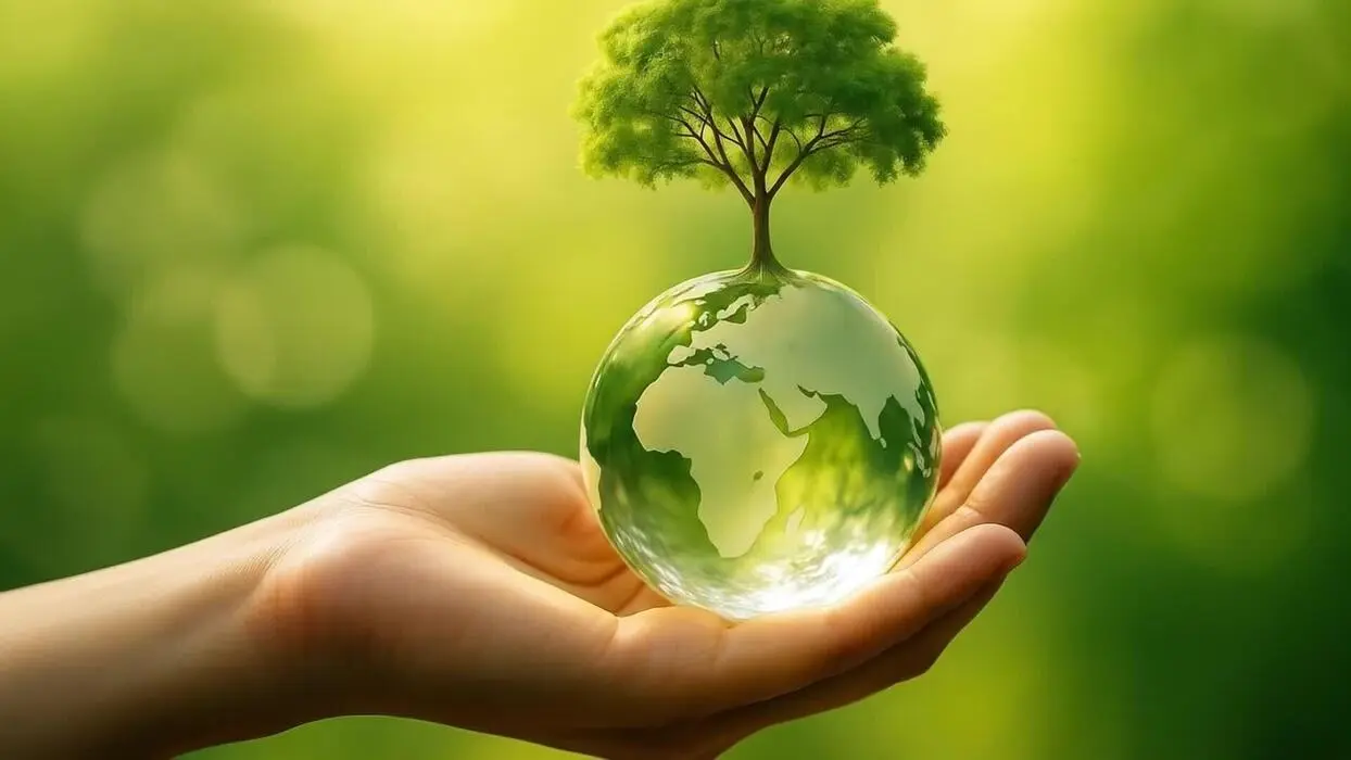تاثیر همکاری جهانی در حفاظت از منابع طبیعی و کاهش آلودگی