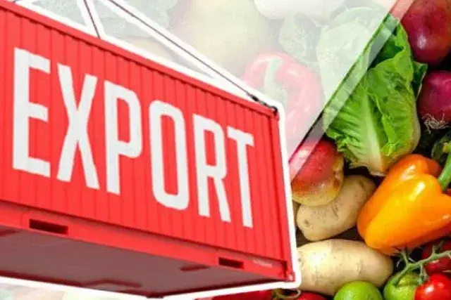 بازاریابی صادراتی چیست و چگونه مشتری خارجی پیدا کنیم؛ یک راهنمای کامل برای تصمیم بهتر