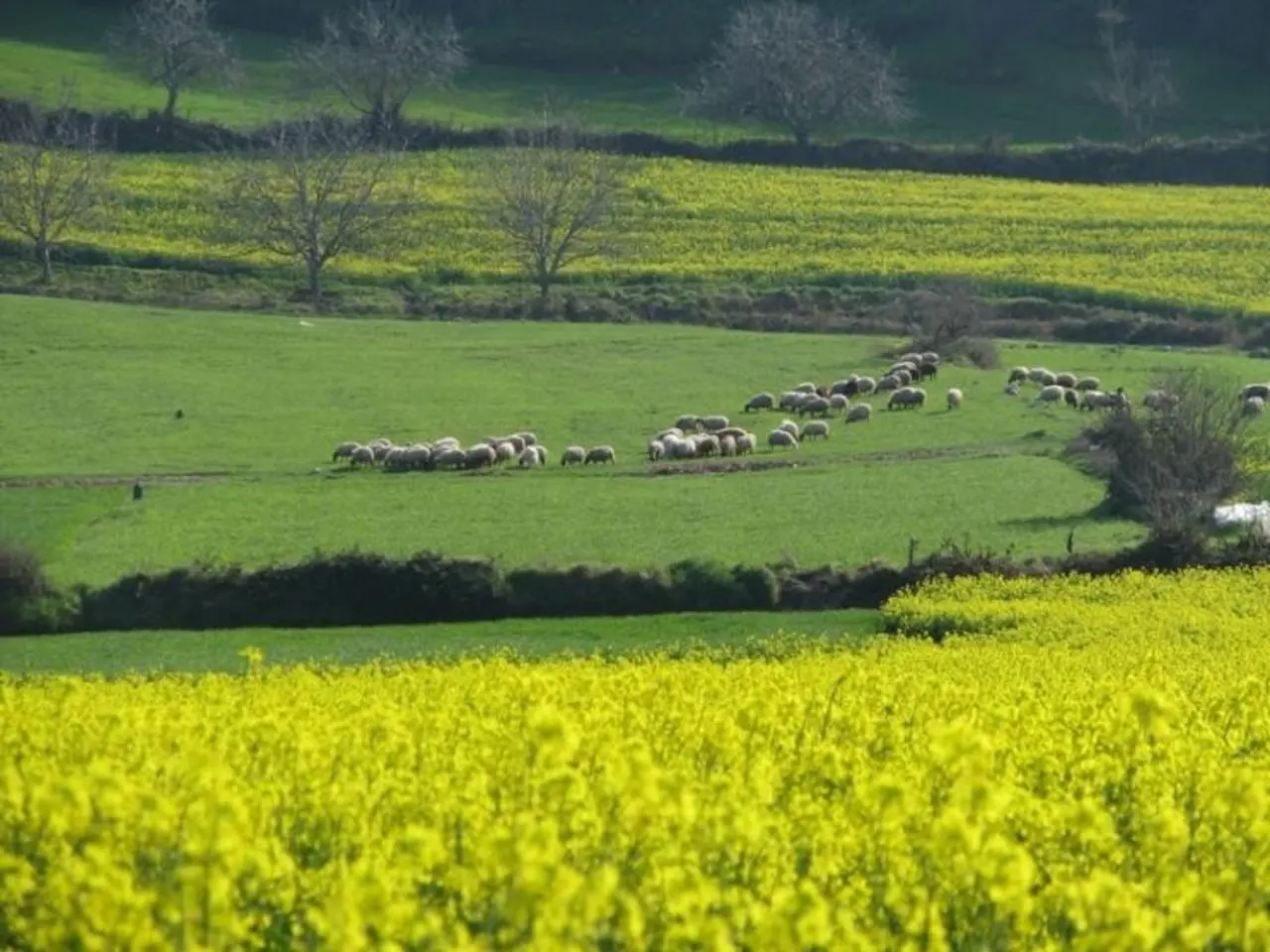 راهنمای سفر به گرگان؛ راهنمای کامل و کاربردی