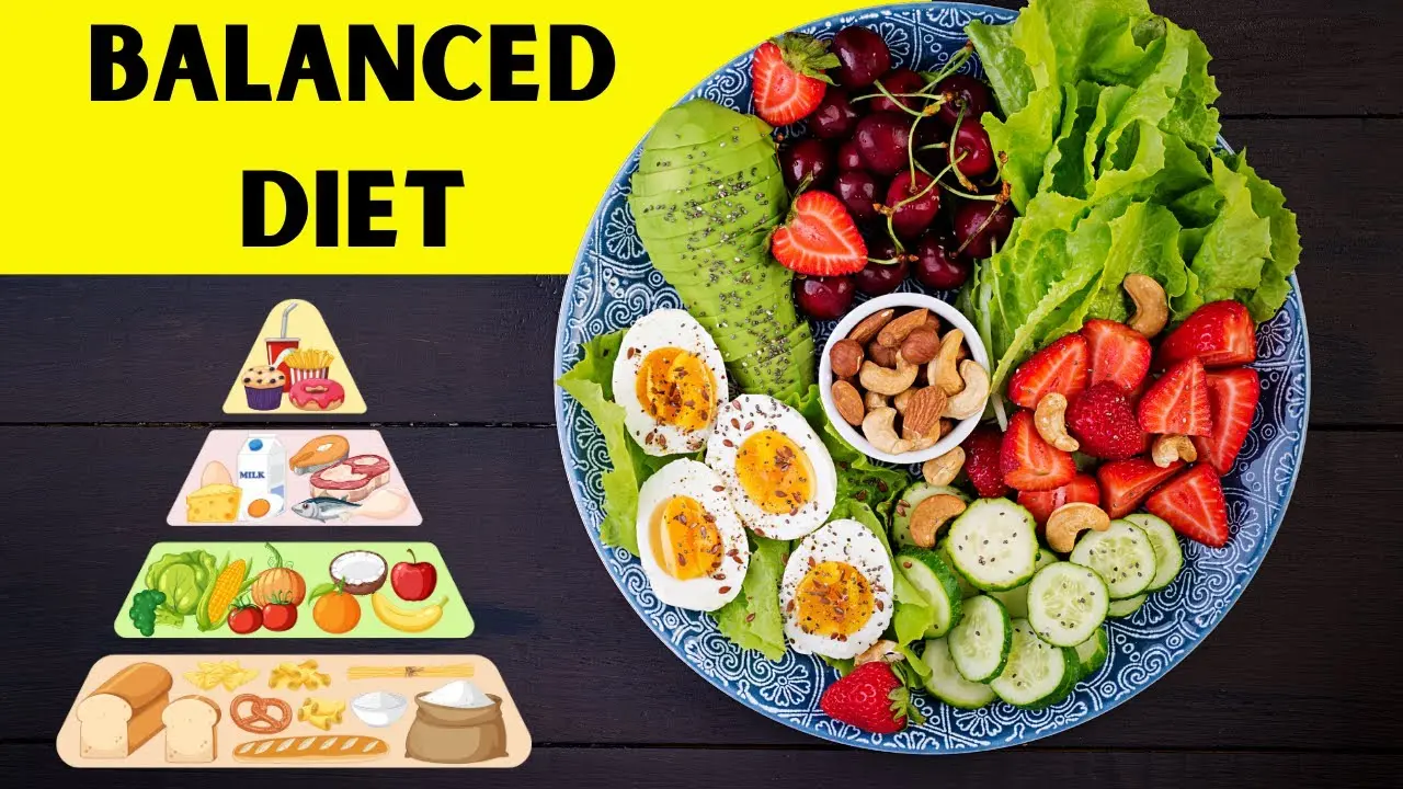 ژیم غذایی متعادل داشته باشیم؛ مراحل مهم و بررسی کامل و ساده