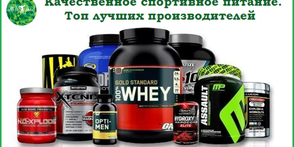 یک پزشک در حال بررسی نتایج آزمایش خون یک بیمار