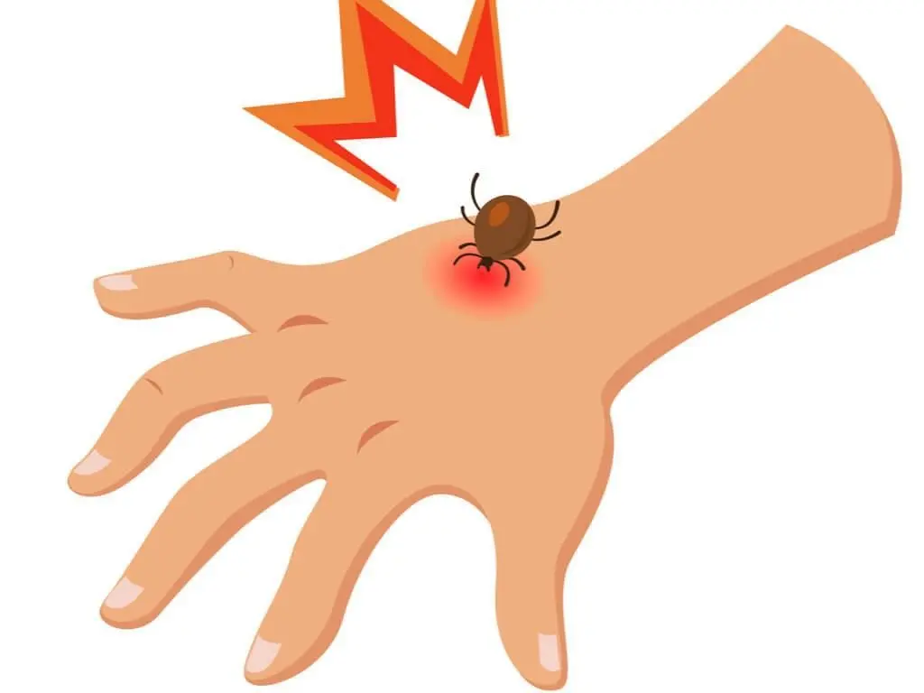 مخروط رسوبی در نزدیکی رودخانه