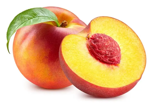گلابی چگونه پرورش داده می‌شود؛ راهنمای کامل و کاربردی