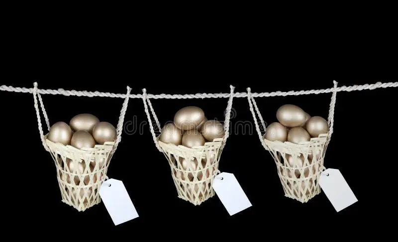 نمادینگی تقسیم سرمایه بین سبدهای مختلف برای کاهش ریسک