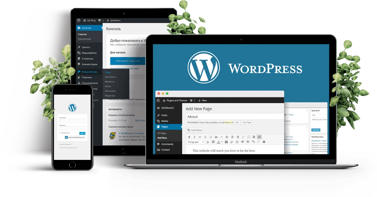 پنل مدیریت cPanel با بخش Softaculous برای نصب برنامهها