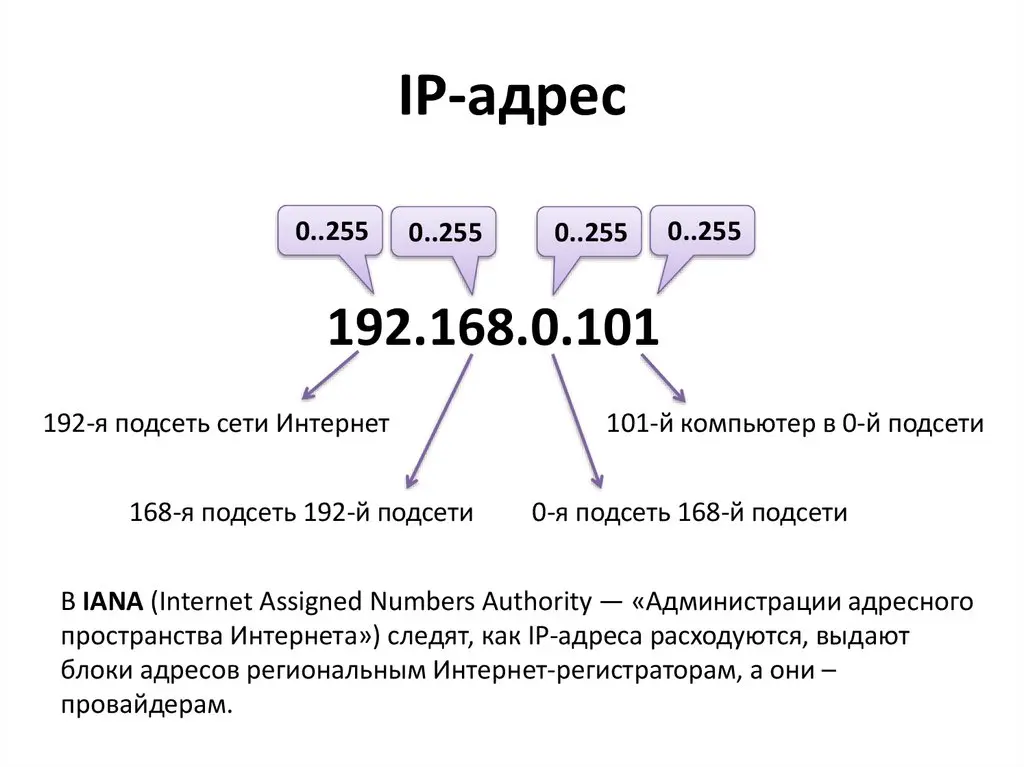 نمودار فرایند دریافت آی‌پی پویا توسط پروتکل DHCP