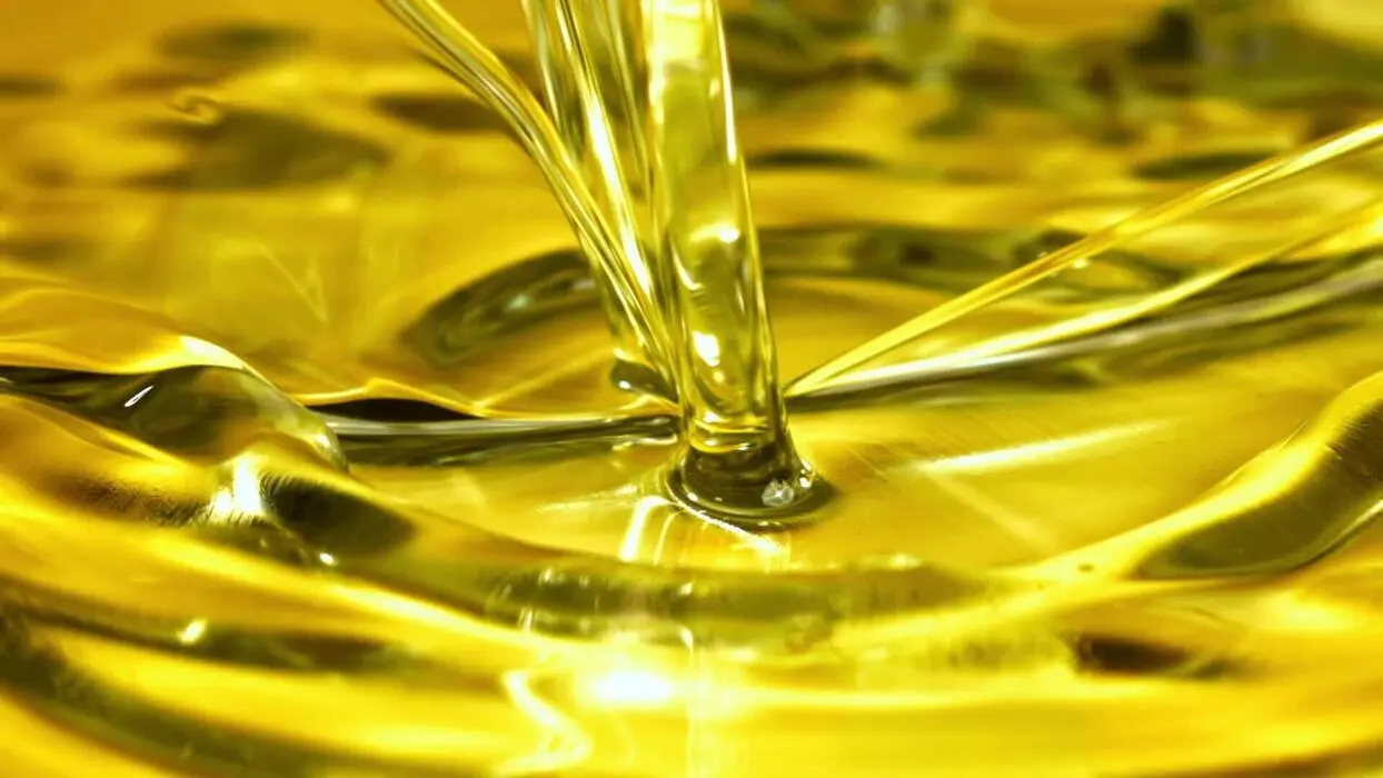 روغن زیتون اصل با رنگ و بوی طبیعی