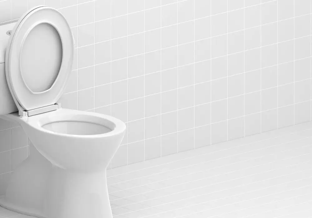 تفاوت بین توالت فرنگی و زمینی از نظر ارتفاع و طراحی