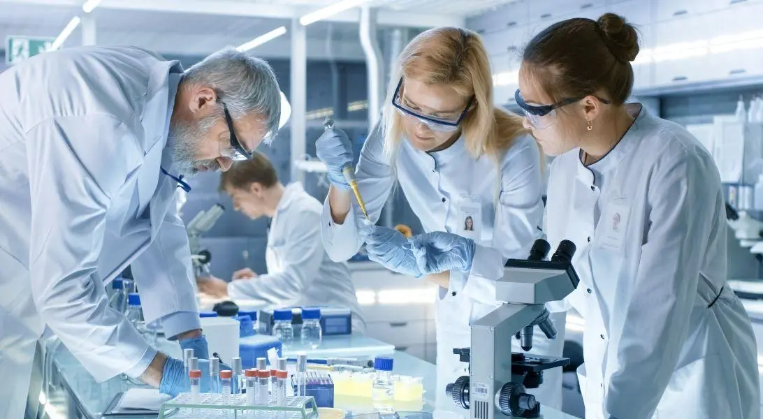 پژوهش چیست و چه کاربردی دارد؛ بررسی نکات و جزئیات مهم