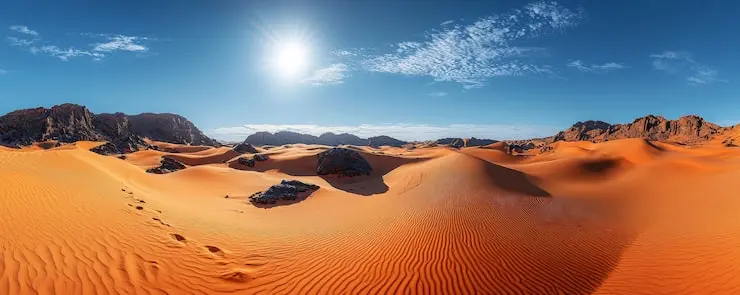 منظره بیابانی خشک با خاک پوسته و گیاهان خشک