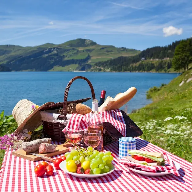 خانوادهای در حال پیکنیک در طبیعت با بازی و سرگرمی