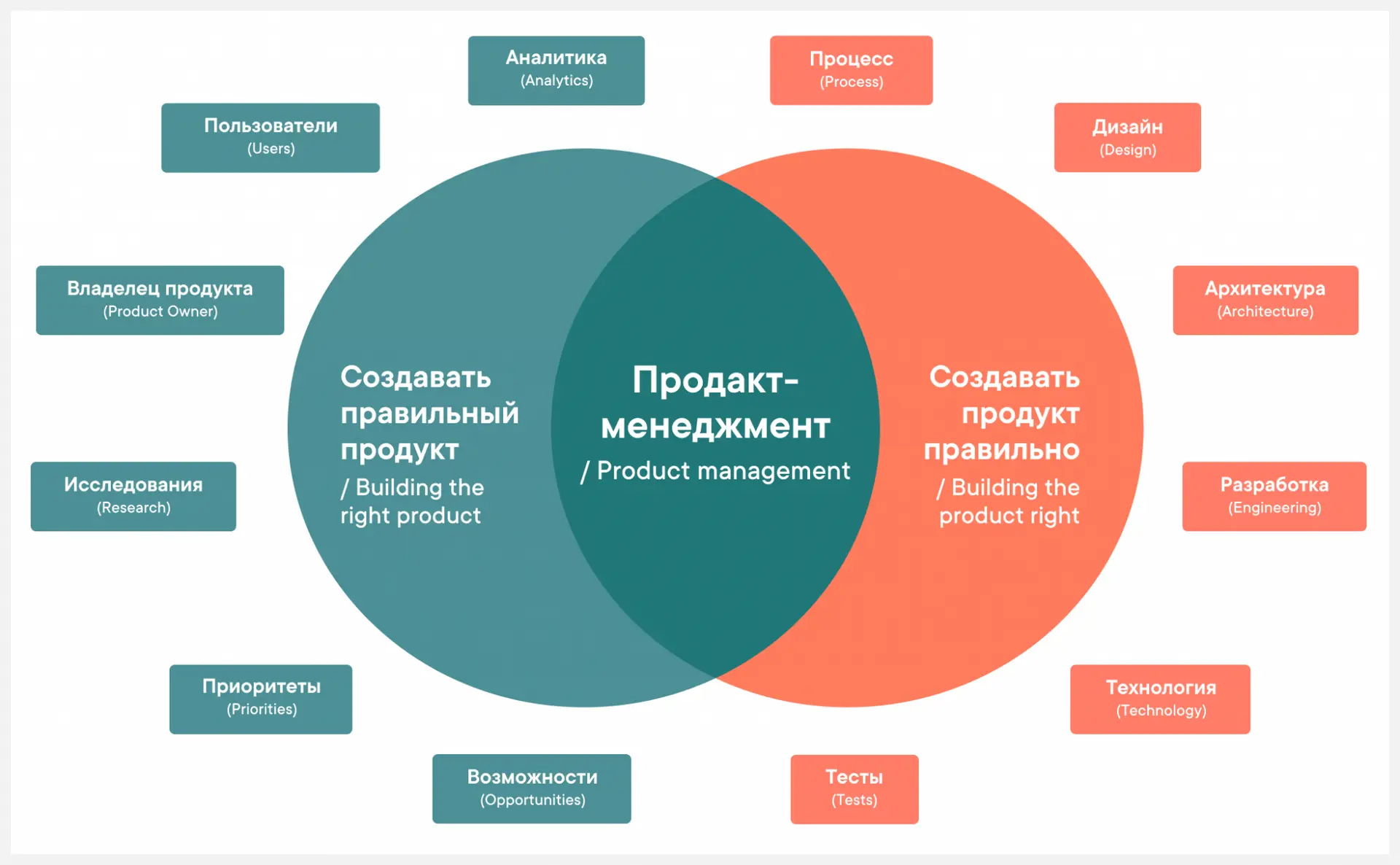 مدیر تولید چه وظایفی دارد؛ بررسی نکات و جزئیات مهم